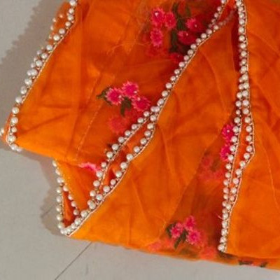 Orange Floral Net Saree