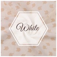 white-color-sarees