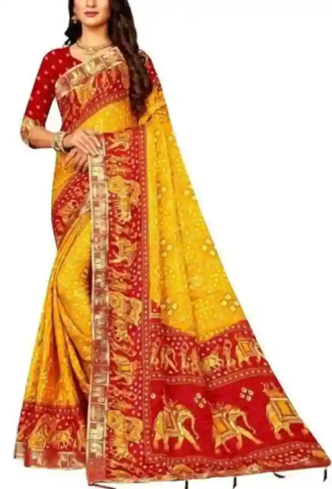 Mustard Yellow Red Half Half Bandhani Patola Saree Zari Lace Border-02