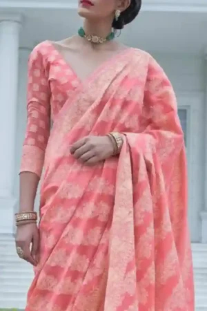 Light Pink Lucknowi Woven Chikankari Saree