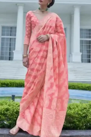 Light Pink Lucknowi Woven Chikankari Saree